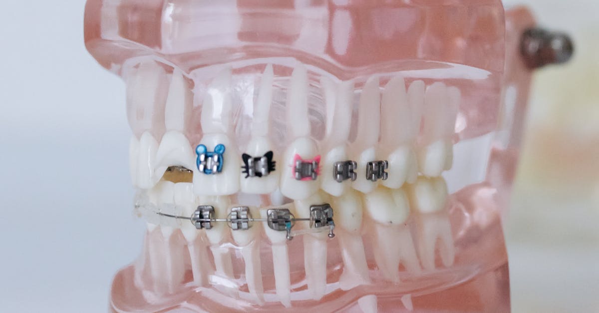 Evaluating Dental Practice Location and Accessibility